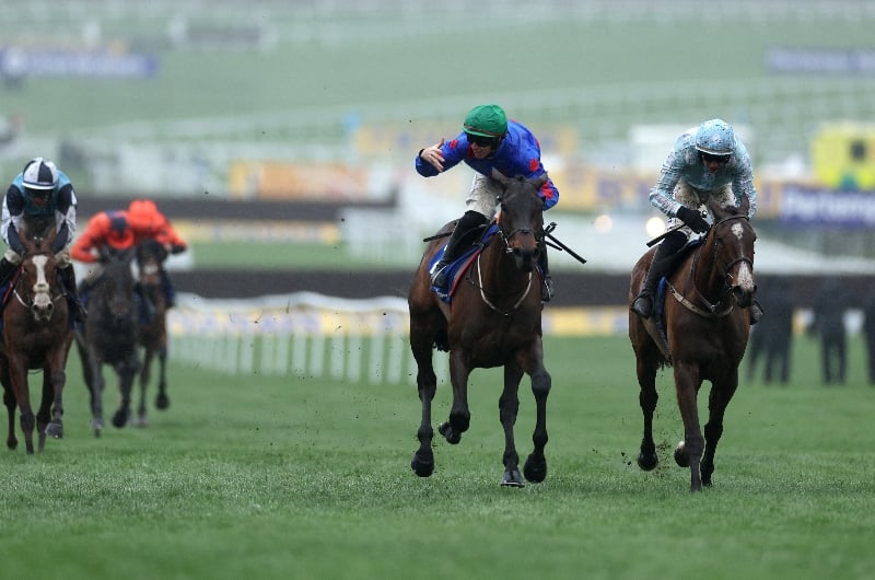 cheltenham cheltenham