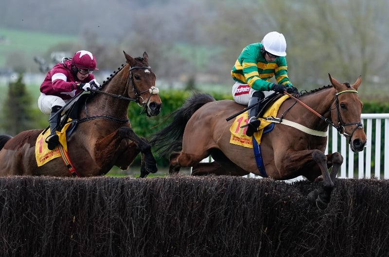 cheltenham cheltenham
