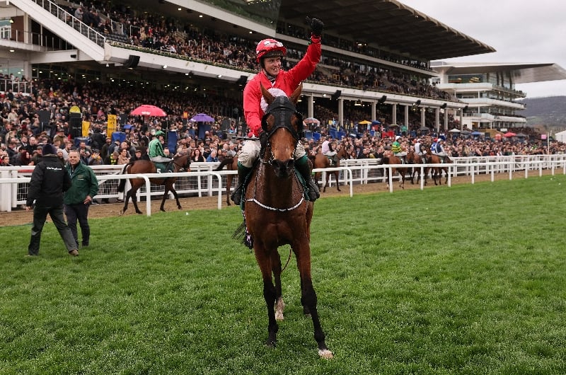 cheltenham cheltenham