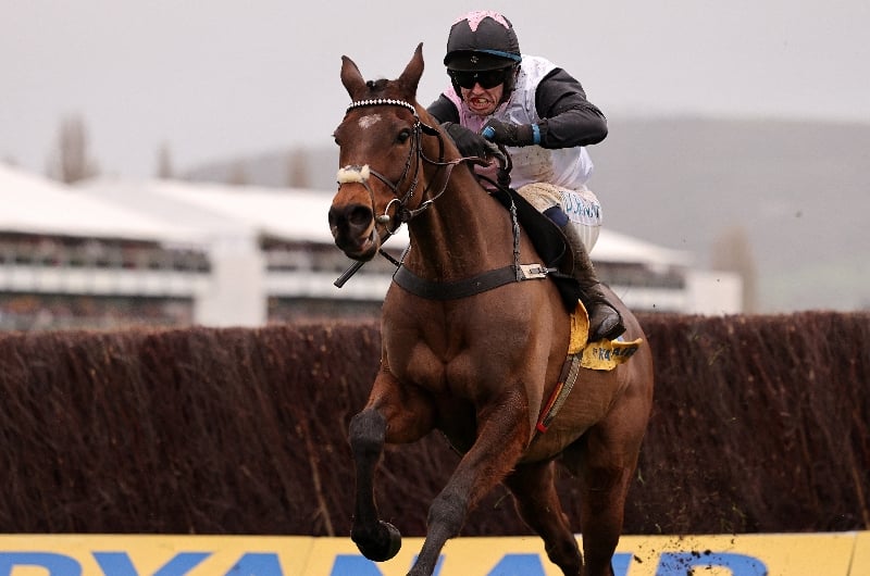 cheltenham cheltenham
