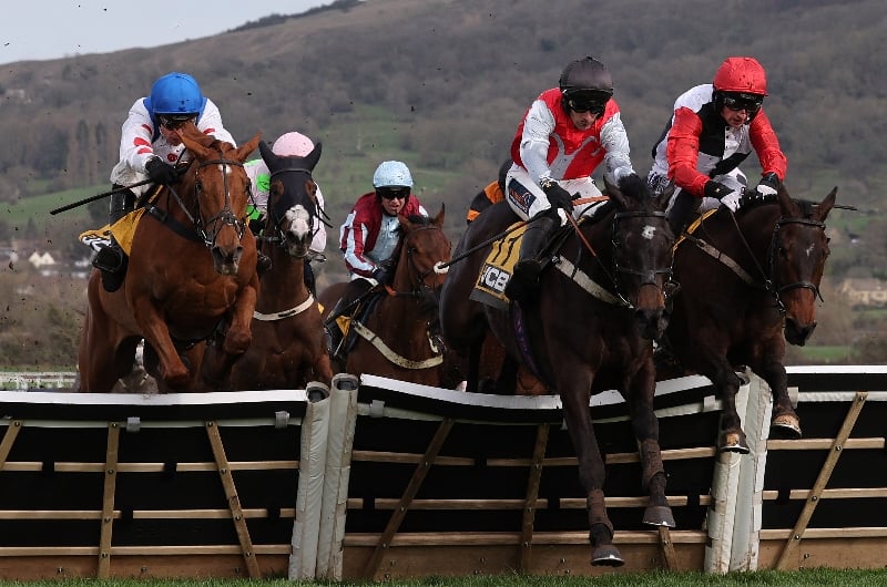 cheltenham