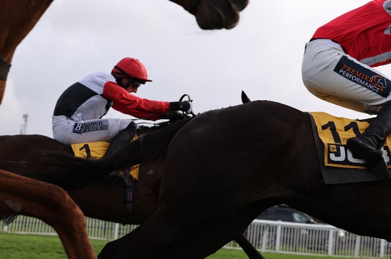 cheltenham