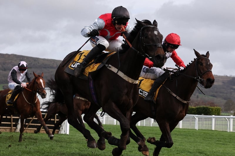 cheltenham