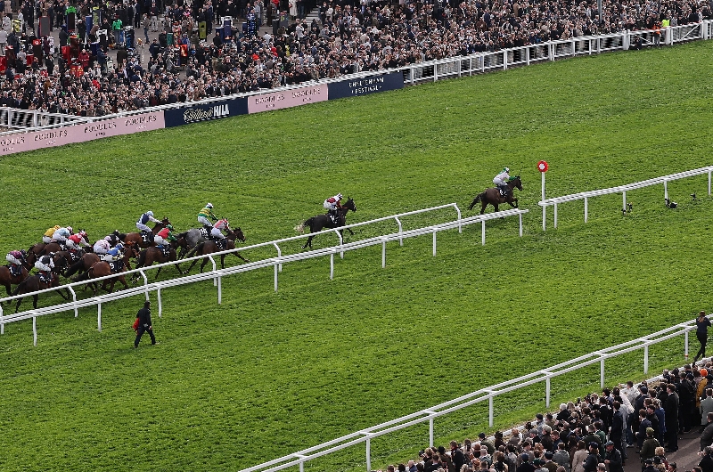 cheltenham