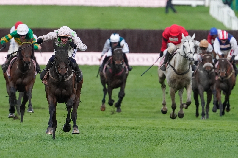 cheltenham