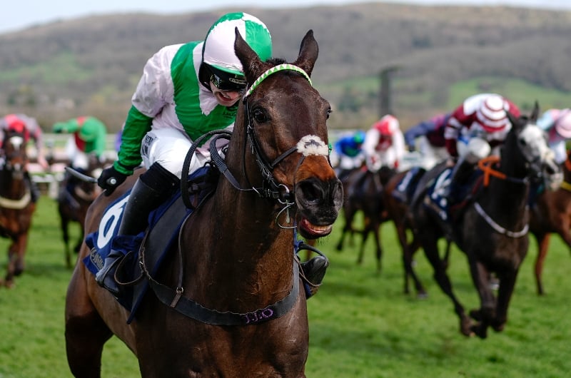 cheltenham