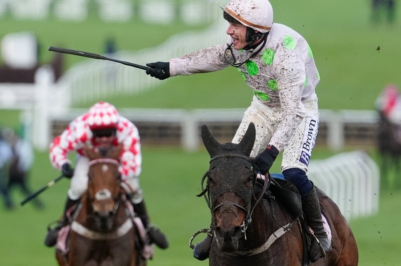 cheltenham