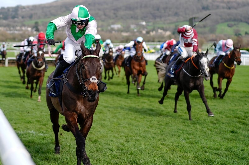 cheltenham