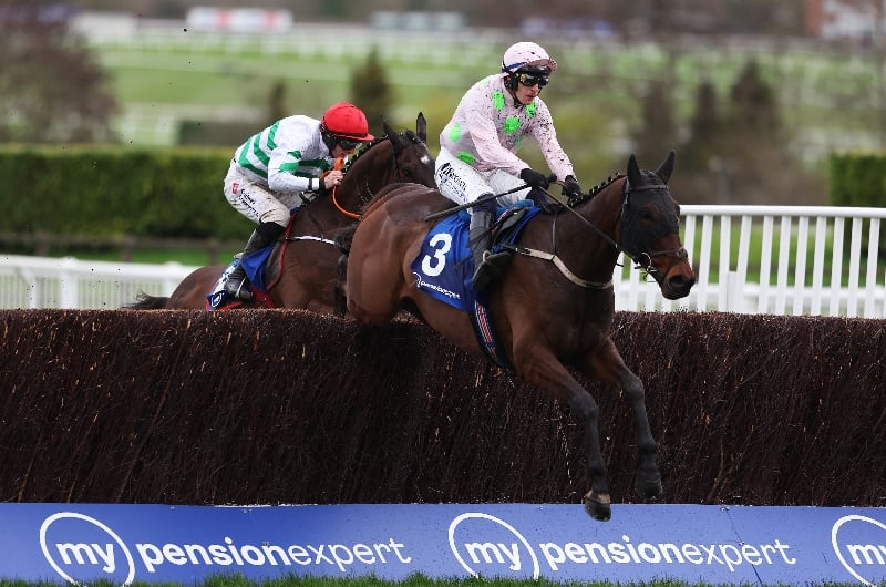 gaelic warrior cheltenham
