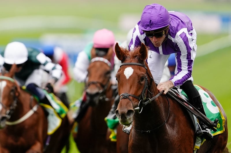 precise newmarket