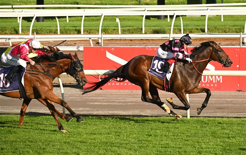 MELBOURNE, AUSTRALIA - MARCH 28: Craig Williams riding Al Duca winning Race 10 , the Royal Ascot Handicap during Melbourne Racing at Flemington Racecourse on March 28, 2026 in Melbourne, Australia. (Photo by Vince Caligiuri/Getty Images)