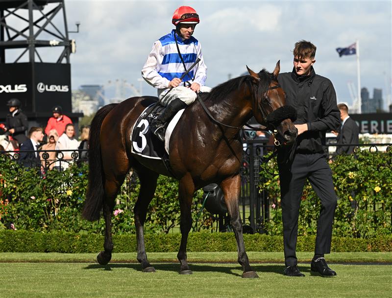 MELBOURNE, AUSTRALIA - MARCH 28: Damian Lane riding Whisky On The Hill after winning Race 7, the Lexus Roy Higgins during Melbourne Racing at Flemington Racecourse on March 28, 2026 in Melbourne, Australia. (Photo by Vince Caligiuri/Getty Images)