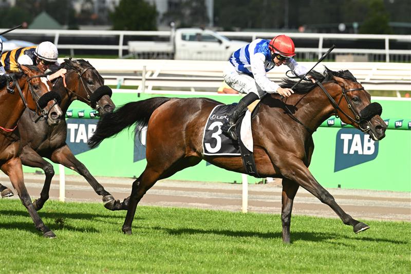 MELBOURNE, AUSTRALIA - MARCH 28: Damian Lane riding Whisky On The Hill winning Race 7, the Lexus Roy Higgins during Melbourne Racing at Flemington Racecourse on March 28, 2026 in Melbourne, Australia. (Photo by Vince Caligiuri/Getty Images)