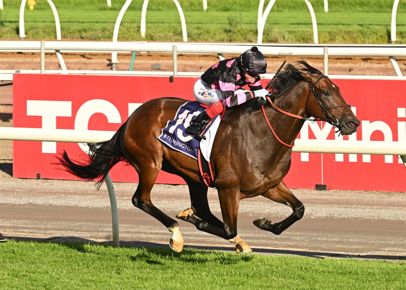 MELBOURNE, AUSTRALIA - MARCH 28: Craig Williams riding Al Duca winning Race 10 , the Royal Ascot Handicap during Melbourne Racing at Flemington Racecourse on March 28, 2026 in Melbourne, Australia. (Photo by Vince Caligiuri/Getty Images)