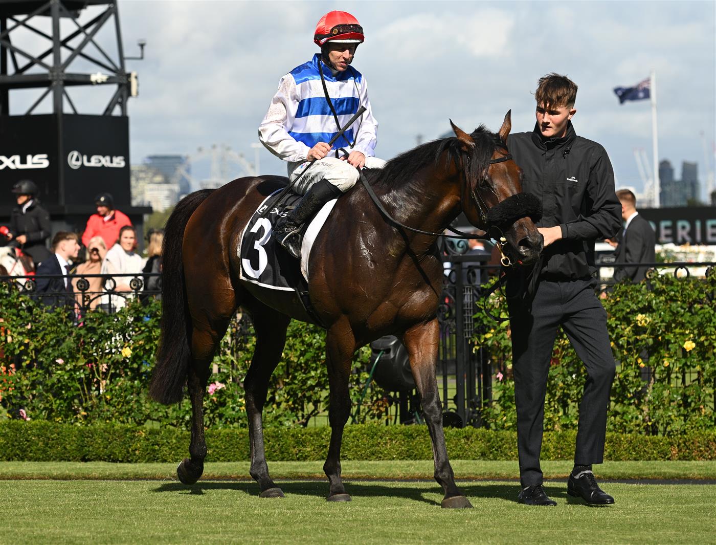 MELBOURNE, AUSTRALIA - MARCH 28: Damian Lane riding Whisky On The Hill after winning Race 7, the Lexus Roy Higgins during Melbourne Racing at Flemington Racecourse on March 28, 2026 in Melbourne, Australia. (Photo by Vince Caligiuri/Getty Images)