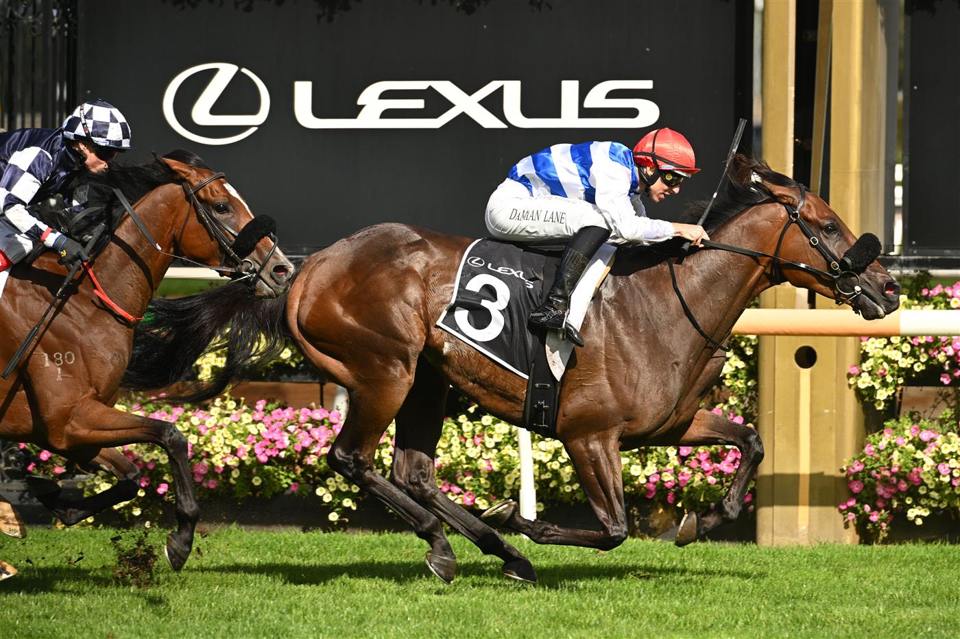 MELBOURNE, AUSTRALIA - MARCH 28: Damian Lane riding Whisky On The Hill winning Race 7, the Lexus Roy Higgins during Melbourne Racing at Flemington Racecourse on March 28, 2026 in Melbourne, Australia. (Photo by Vince Caligiuri/Getty Images)