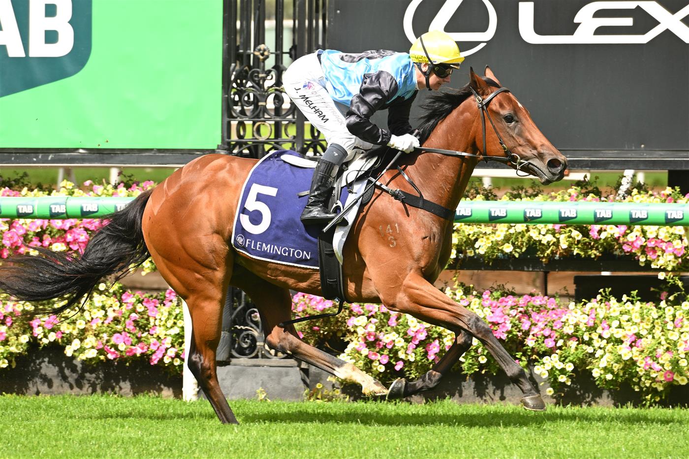 MELBOURNE, AUSTRALIA - MARCH 28: Jamie Melham riding Satono Glow winning Race 3, the Tbv Thoroughbred Breeders Stakes during Melbourne Racing at Flemington Racecourse on March 28, 2026 in Melbourne, Australia. (Photo by Vince Caligiuri/Getty Images)