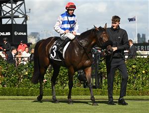 MELBOURNE, AUSTRALIA - MARCH 28: Damian Lane riding Whisky On The Hill after winning Race 7, the Lexus Roy Higgins during Melbourne Racing at Flemington Racecourse on March 28, 2026 in Melbourne, Australia. (Photo by Vince Caligiuri/Getty Images)