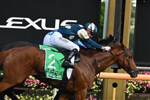 MELBOURNE, AUSTRALIA - MARCH 28: Harry Coffey riding Light Infantry Man defeats Declan Bates riding Pride of Jenni in Race 8, the Tab Australian Cup during Melbourne Racing at Flemington Racecourse on March 28, 2026 in Melbourne, Australia. (Photo by Vince Caligiuri/Getty Images)