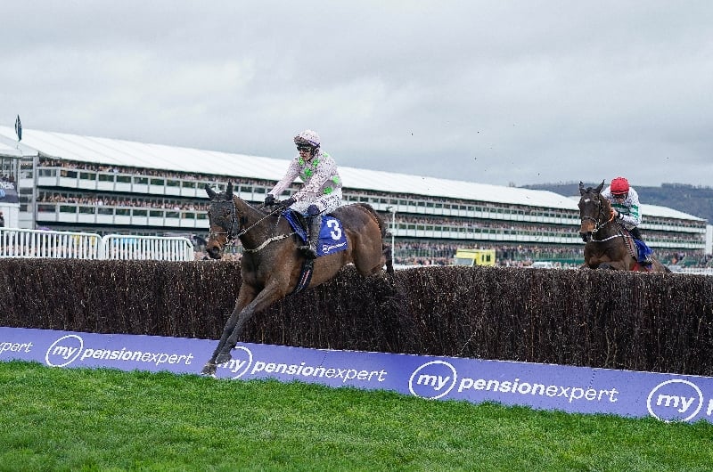 gaelic warrior arkle
