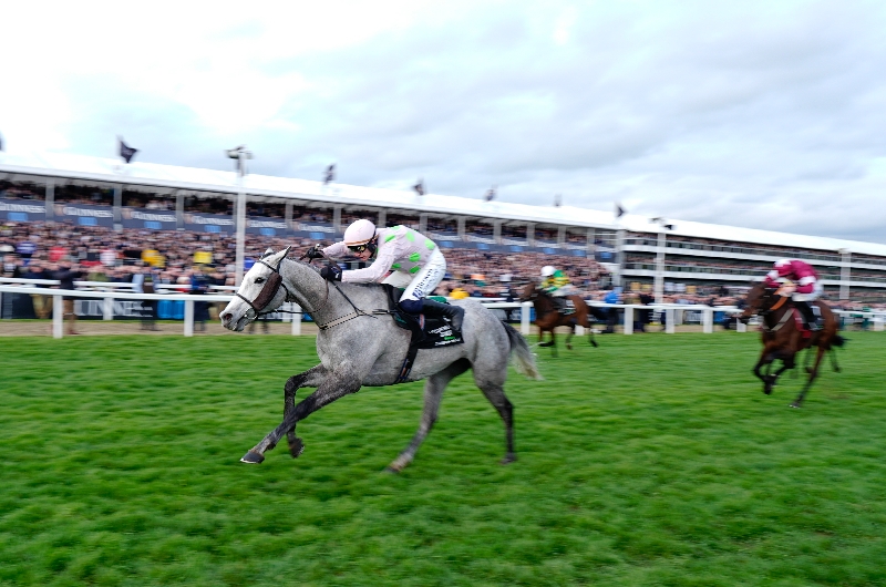 champion hurdle cheltenham