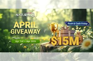 Natural8 $15M April Giveaway