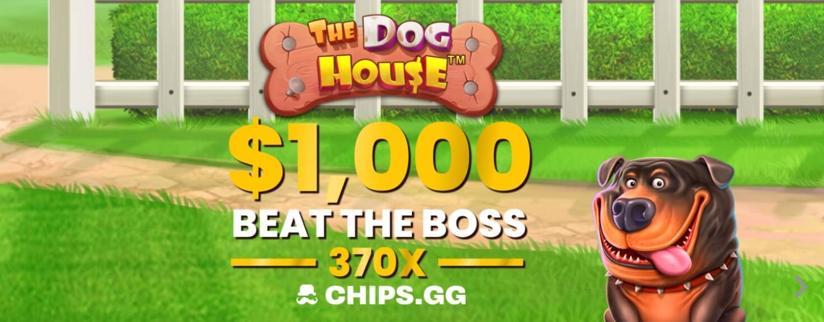 Chips.gg