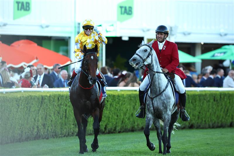 SYDNEY, AUSTRALIA - APRIL 11: Craig Williams riding Sir Delius win Race 9 Queen Elizabeth Stakes during Sydney Racing at Royal Randwick Racecourse on April 11, 2026 in Sydney, Australia. (Photo by Jeremy Ng/Getty Images)