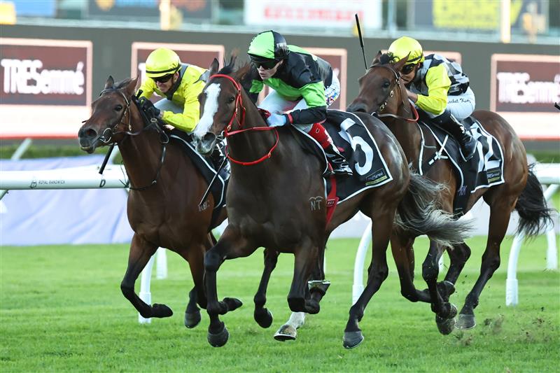 SYDNEY, AUSTRALIA - APRIL 11: Craig Williams riding In Flight win Race 10 Tresemme Sapphire Stakes during Sydney Racing at Royal Randwick Racecourse on April 11, 2026 in Sydney, Australia. (Photo by Jeremy Ng/Getty Images)