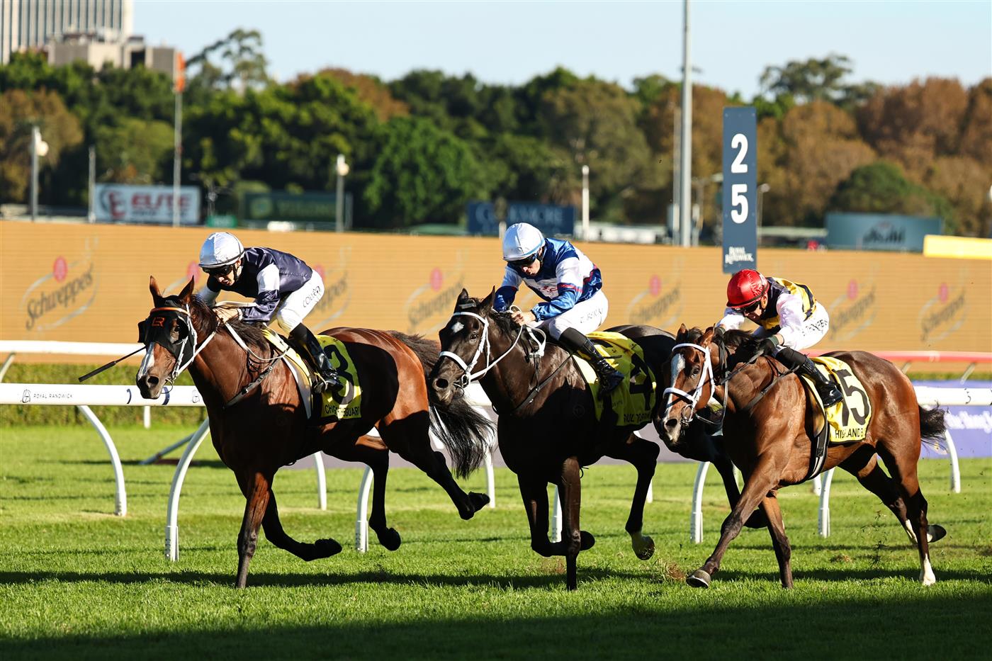 SYDNEY, AUSTRALIA - APRIL 11: Jason Collett riding Changingoftheguard win Race 7 Schweppes Sydney Cup during Sydney Racing at Royal Randwick Racecourse on April 11, 2026 in Sydney, Australia. (Photo by Jeremy Ng/Getty Images)