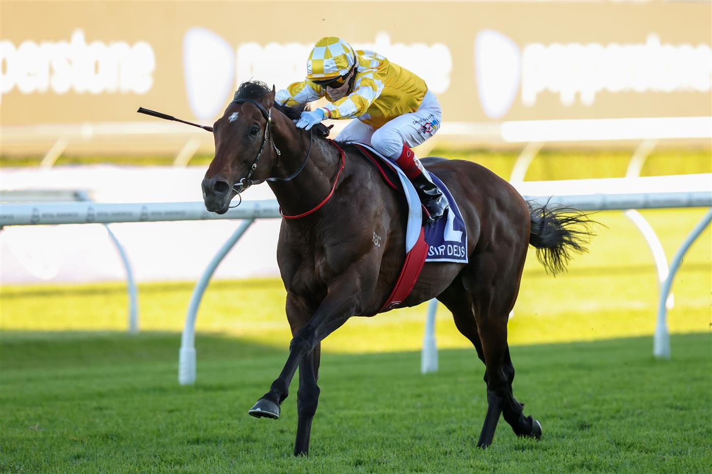 SYDNEY, AUSTRALIA - APRIL 11: Craig Williams riding Sir Delius win Race 9 The Queen Elizabeth Stakes during Sydney Racing at Royal Randwick Racecourse on April 11, 2026 in Sydney, Australia. (Photo by Jason McCawley/Getty Images)