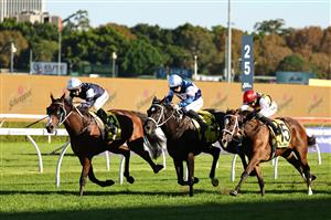 SYDNEY, AUSTRALIA - APRIL 11: Jason Collett riding Changingoftheguard win Race 7 Schweppes Sydney Cup during Sydney Racing at Royal Randwick Racecourse on April 11, 2026 in Sydney, Australia. (Photo by Jeremy Ng/Getty Images)