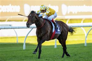 SYDNEY, AUSTRALIA - APRIL 11: Craig Williams riding Sir Delius win Race 9 The Queen Elizabeth Stakes during Sydney Racing at Royal Randwick Racecourse on April 11, 2026 in Sydney, Australia. (Photo by Jason McCawley/Getty Images)
