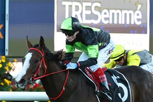 SYDNEY, AUSTRALIA - APRIL 11: Craig Williams riding In Flight win Race 10 Tresemme Sapphire Stakes during Sydney Racing at Royal Randwick Racecourse on April 11, 2026 in Sydney, Australia. (Photo by Jeremy Ng/Getty Images)