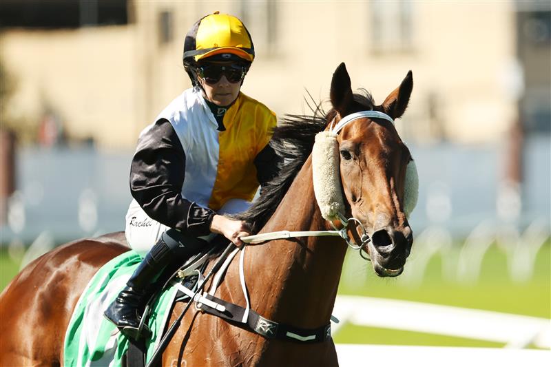 SYDNEY, AUSTRALIA - APRIL 18: Rachel Kingriding Ishikari win Race 2 Tab Highway Handicap during Sydney Racing at Royal Randwick Racecourse on April 18, 2026 in Sydney, Australia. (Photo by Jeremy Ng/Getty Images)