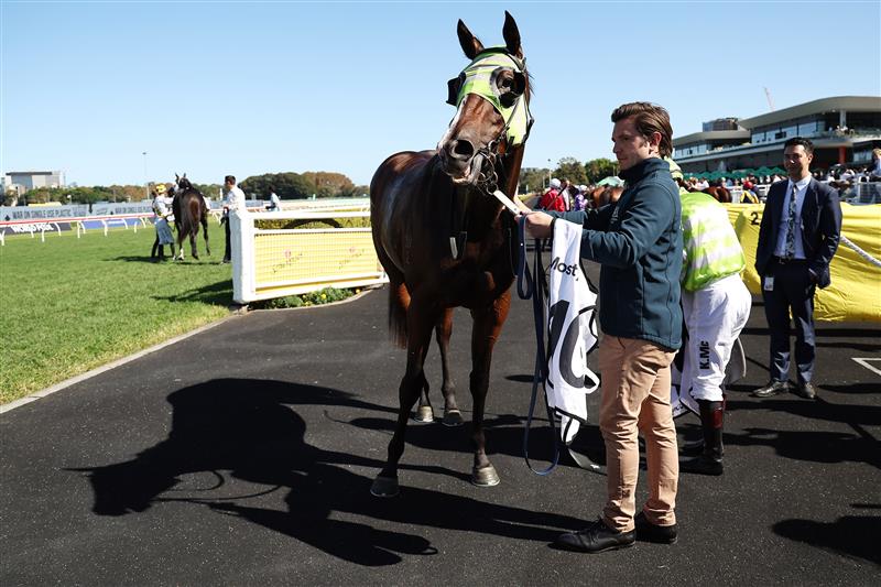 SYDNEY, AUSTRALIA - APRIL 18: Kerrin Mcevoy  riding Snitzel Dancer win Race 4 Mostyncopper James H B Carr Stakes during Sydney Racing at Royal Randwick Racecourse on April 18, 2026 in Sydney, Australia. (Photo by Jeremy Ng/Getty Images)