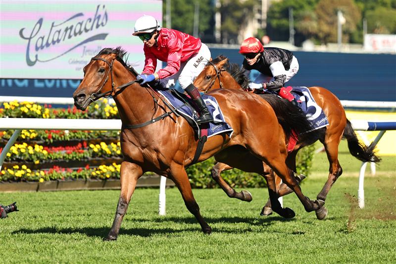 SYDNEY, AUSTRALIA - APRIL 18: Kerrin Mcevoy  riding  Signor Tortoni win Race 3 Catanach
