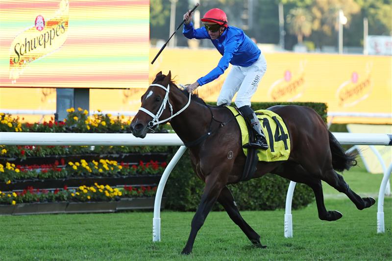 SYDNEY, AUSTRALIA - APRIL 18: Nash Rawiller riding Beiwacht  win Race 9 Schweppes All Aged Stakes during Sydney Racing at Royal Randwick Racecourse on April 18, 2026 in Sydney, Australia. (Photo by Jeremy Ng/Getty Images)