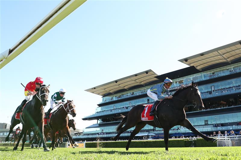SYDNEY, AUSTRALIA - APRIL 18: Nash Rawiller riding Matias win Race 5 Toyota Forklifts Frank Packer Plate during Sydney Racing at Royal Randwick Racecourse on April 18, 2026 in Sydney, Australia. (Photo by Jeremy Ng/Getty Images)