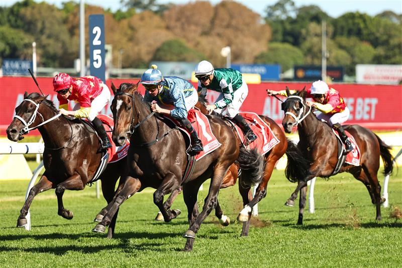 SYDNEY, AUSTRALIA - APRIL 18: Nash Rawiller riding Matias win Race 5 Toyota Forklifts Frank Packer Plate during Sydney Racing at Royal Randwick Racecourse on April 18, 2026 in Sydney, Australia. (Photo by Jeremy Ng/Getty Images)