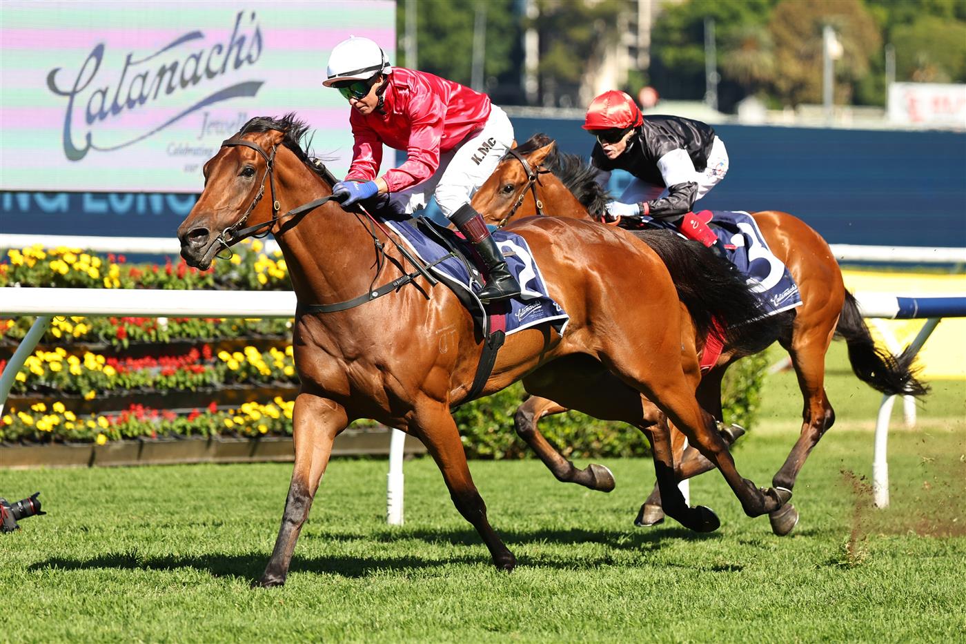 SYDNEY, AUSTRALIA - APRIL 18: Kerrin Mcevoy  riding  Signor Tortoni win Race 3 Catanach