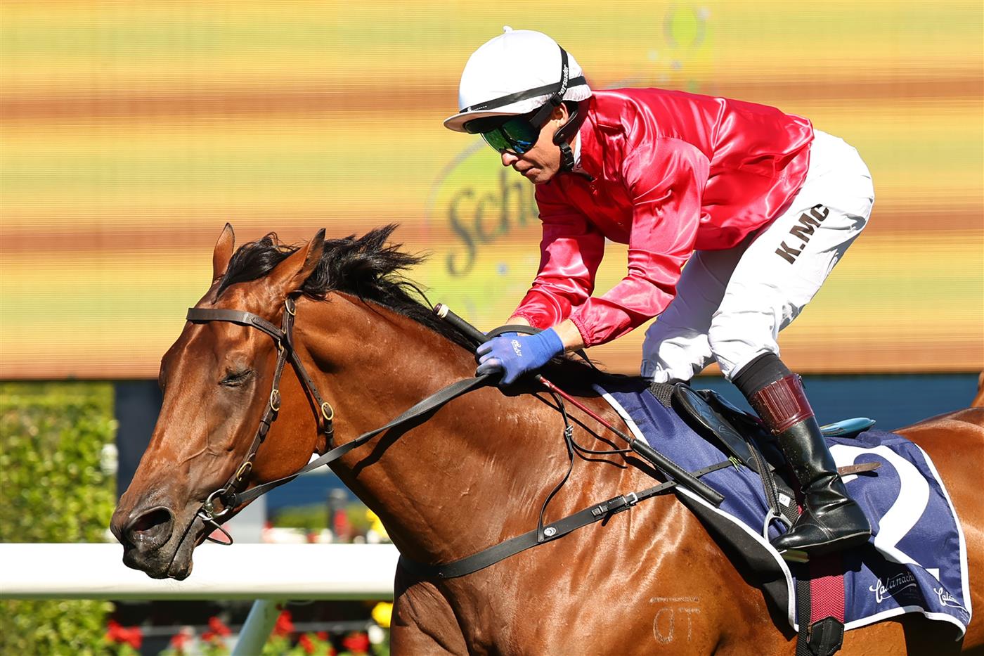 SYDNEY, AUSTRALIA - APRIL 18: Kerrin Mcevoy  riding  Signor Tortoni win Race 3 Catanach