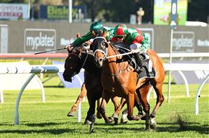 SYDNEY, AUSTRALIA - APRIL 18: Jason Collett  riding Asterix  win Race 6 Myplates Jra Plate during Sydney Racing at Royal Randwick Racecourse on April 18, 2026 in Sydney, Australia. (Photo by Jeremy Ng/Getty Images)