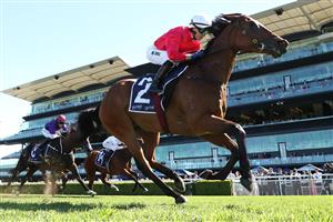 SYDNEY, AUSTRALIA - APRIL 18: Kerrin Mcevoy  riding  Signor Tortoni win Race 3 Catanach