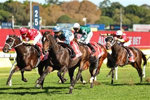 SYDNEY, AUSTRALIA - APRIL 18: Nash Rawiller riding Matias win Race 5 Toyota Forklifts Frank Packer Plate during Sydney Racing at Royal Randwick Racecourse on April 18, 2026 in Sydney, Australia. (Photo by Jeremy Ng/Getty Images)