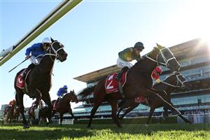 SYDNEY, AUSTRALIA - APRIL 18: Tim Clark riding Fireball win Race 7 Moet & Chandon Champagne Stakes during Sydney Racing at Royal Randwick Racecourse on April 18, 2026 in Sydney, Australia. (Photo by Jeremy Ng/Getty Images)