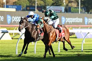 SYDNEY, AUSTRALIA - APRIL 18: Tim Clark riding Fireball win Race 7 Moet & Chandon Champagne Stakes during Sydney Racing at Royal Randwick Racecourse on April 18, 2026 in Sydney, Australia. (Photo by Jeremy Ng/Getty Images)