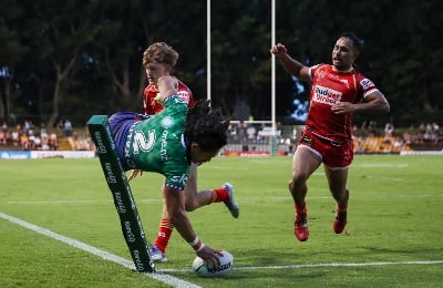 New Zealand Warriors vs Dolphins Round 8 Tips and Prediction