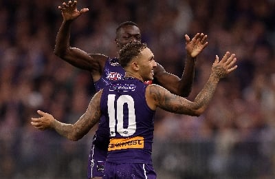 Western Bulldogs vs Fremantle Tips 2026 AFL Round 8
