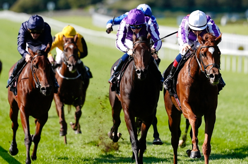 precise curragh precise curragh